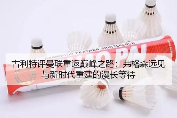 古利特评曼联重返巅峰之路：弗格森远见与新时代重建的漫长等待